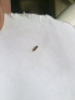 180720121611.jpg