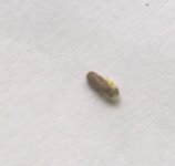 180720121612.jpg