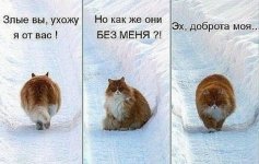 к1.jpg