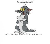 как.jpg