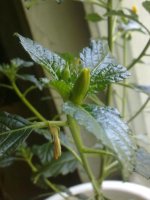 230720121625.jpg
