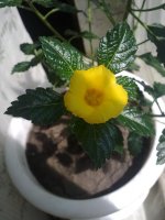 240720121632.jpg