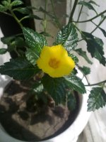 240720121633.jpg