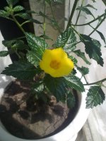 240720121634.jpg