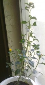 280720121650.jpg