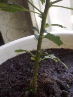 280720121653.jpg