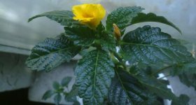 280720121656.jpg
