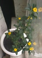 030820121672.jpg