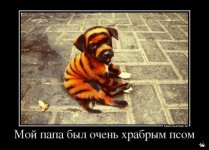 1344008962_3278898_moyamamabyilasurovojtigritsej.jpg