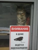 foto0g1_25.jpg