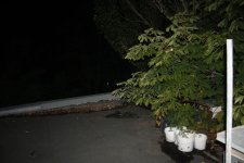 IMG_9577.JPG