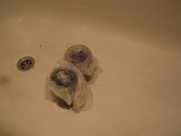 IMG_0427.JPG