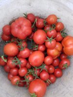 20170730_144441.jpg