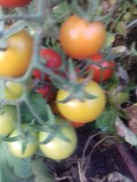 20170726_195708.jpg