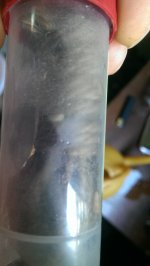 IMAG1308.jpg