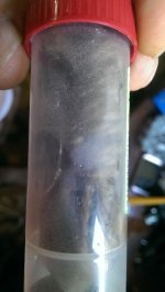 IMAG1309.jpg