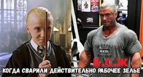 шгне.jpg