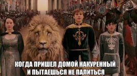70108776.f.800.800.0.jpg