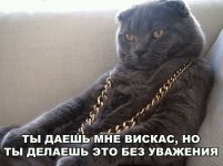 70120181.f.800.800.0.jpg