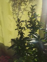 20170820_183548.jpg