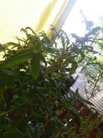 20170820_184437.jpg