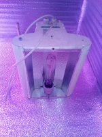 IMG_20170822_190503.jpg