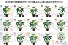 дефецит от Х Сервантеса.jpg