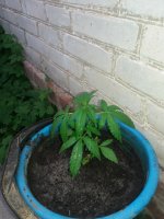 20170821_190338.jpg