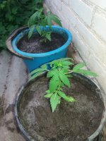20170821_190344.jpg