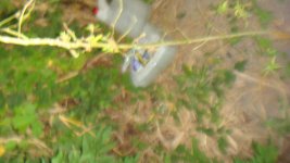 DSC03413.JPG