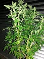 20170826_215350.jpg