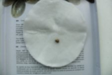 GEDC0553.JPG