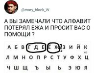 70203136.f.800.800.0.jpg