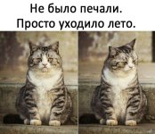 70208740.f.800.800.0.jpg