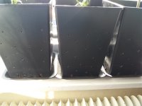 20170827_162946.jpg