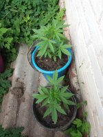 20170827_121400.jpg