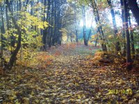 100_8198.jpg