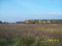100_8190.jpg