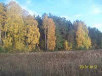 100_8179.jpg