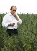 путин х-ло.jpg