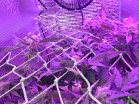 IMG-20170829-WA0008.jpg