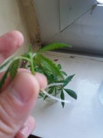 20170830_093215.jpg