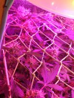 IMG-20170830-WA0031.jpg