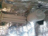 20170831_142910.jpg