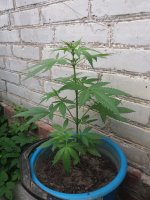 20170831_115953.jpg