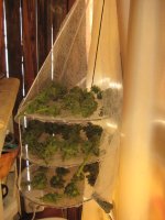 IMG_2539.JPG