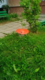 P_20170902_073856.jpg
