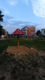 P_20170902_074003.jpg