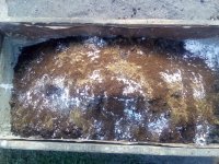 IMG_20170905_093247.jpg