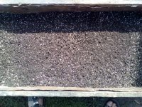 IMG_20170905_101052.jpg